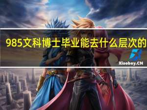 985文科博士毕业能去什么层次的学校