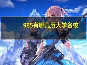 985有哪几所大学名校