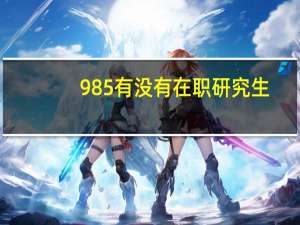 985有没有在职研究生