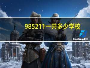 985211一共多少学校