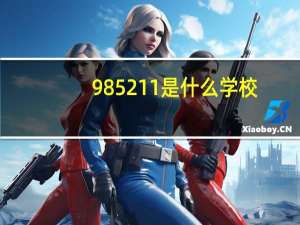 985211是什么学校