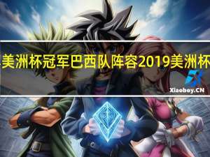 99年美洲杯冠军巴西队阵容 2019美洲杯决赛巴西3_1
