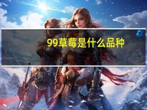 99草莓是什么品种