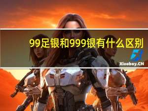 99足银和999银有什么区别