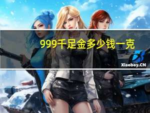 999千足金多少钱一克