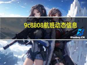 9c8808航班动态信息（9c8808）