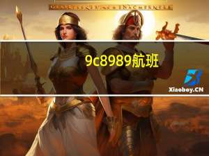 9c8989航班