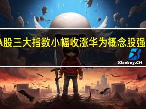 A股三大指数小幅收涨 华为概念股强势领涨