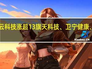 A股互联网保险板块盘中上行佳云科技涨超13%旗天科技、卫宁健康、七匹狼、同方股份、东方财富等跟涨