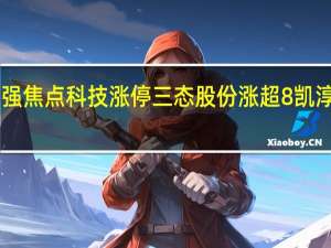 A股互联网电商板块持续走强焦点科技涨停三态股份涨超8%凯淳股份、青木股份等多股跟随走强
