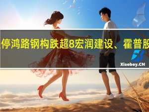 A股光伏概念股持续低迷晶科科技此前跌停鸿路钢构跌超8%宏润建设、霍普股份跌超7%粤电力A、禾迈股份、通灵股份跌超5%