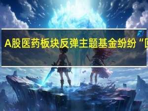 A股医药板块反弹 主题基金纷纷“回血”