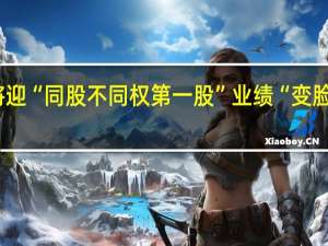 A股将迎“同股不同权第一股” 业绩“变脸”或成隐忧
