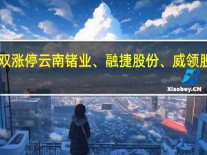 A股小金属板块持续活跃江特电机、吉翔股份双双涨停云南锗业、融捷股份、威领股份、华阳新材、华锡有色、浩通科技、中国稀土跟涨