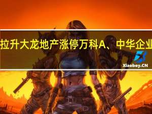 A股房地产开发板块异动拉升大龙地产涨停万科A、中华企业、金地集团、滨江集团等跟涨