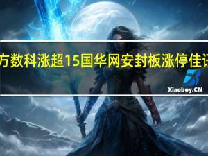 A股数据安全板块持续上升立方数科涨超15%国华网安封板涨停佳讯飞鸿、恒为科技、同为科技等跟涨