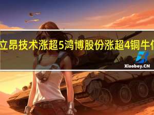 A股算力租赁板块异动拉升亚康股份涨超11%立昂技术涨超5%鸿博股份涨超4%铜牛信息、首都在线、南凌科技、汇金股份等纷纷跟涨