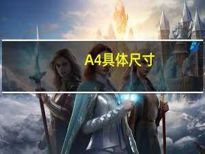 A4具体尺寸