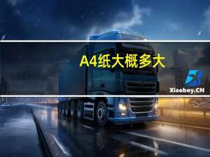 A4纸大概多大