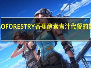 AGRO FORESTRY 香蕉酵素青汁代餐的热量是多少