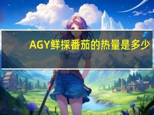 AGY 鲜採番茄的热量是多少