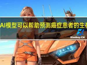 AI模型可以帮助预测癌症患者的生存结果