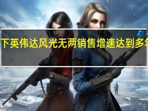 AI热潮下英伟达风光无两 销售增速达到多年来最高水平