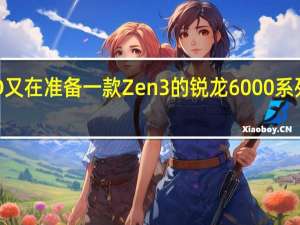AMD又在准备一款Zen3的锐龙6000系列的新成员