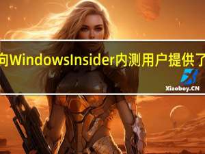 AMD向WindowsInsider内测用户提供了预览版驱动