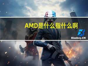AMD是什么指什么啊