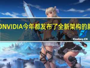 AMD NVIDIA今年都发布了全新架构的新一代显卡