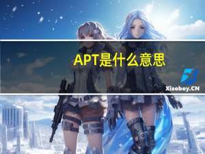 APT是什么意思，要详细点的