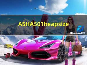ASHA501 heap size（asha501）