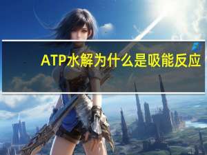 ATP水解为什么是吸能反应