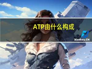 ATP由什么构成
