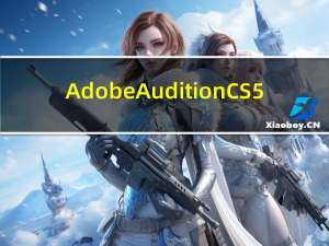 Adobe Audition CS5.5 汉化精简版（Adobe Audition CS5.5 汉化精简版功能简介）