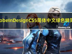 Adobe InDesign CS5 简体中文绿色精简版（Adobe InDesign CS5 简体中文绿色精简版功能简介）