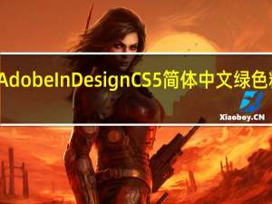 Adobe InDesign CS5 简体中文绿色精简版（Adobe InDesign CS5 简体中文绿色精简版功能简介）