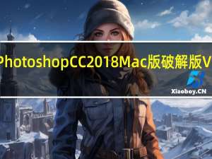 Adobe Photoshop CC 2018 Mac版破解版 V19 中文免费版（Adobe Photoshop CC 2018 Mac版破解版 V19 中文免费版功能简介）