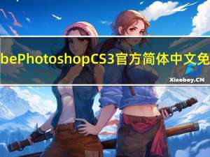 Adobe Photoshop CS3 官方简体中文免费版（Adobe Photoshop CS3 官方简体中文免费版功能简介）
