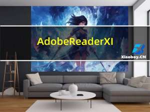 Adobe Reader XI(PDF文件阅读软件) V11.0.10 破解版（Adobe Reader XI(PDF文件阅读软件) V11.0.10 破解版功能简介）