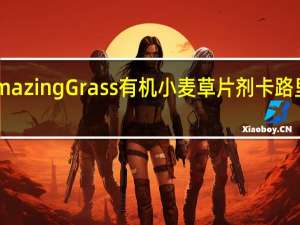Amazing Grass有机小麦草片剂卡路里是多少