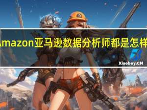 Amazon亚马逊数据分析师都是怎样工作的
