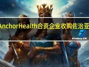 Anchor Health合资企业收购佐治亚州项目