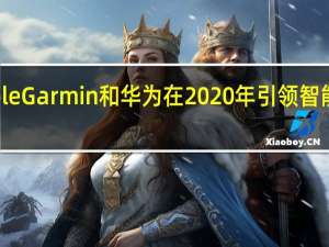 Apple Garmin和华为在2020年引领智能手表市场