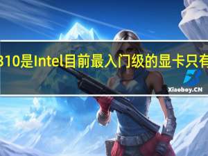 ArcA310是Intel目前最入门级的显卡只有8个Xe核心
