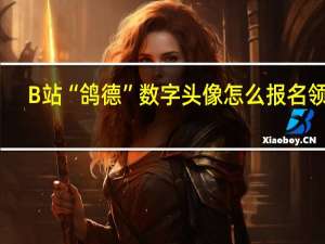 B站“鸽德”数字头像怎么报名领取-B站“鸽德”数字头像报名领取方法