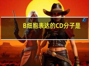 B细胞表达的CD分子是