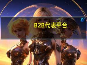 B2B代表平台