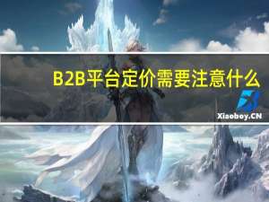 B2B平台定价需要注意什么